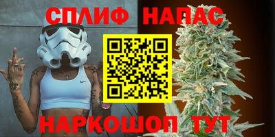 дживик Тара