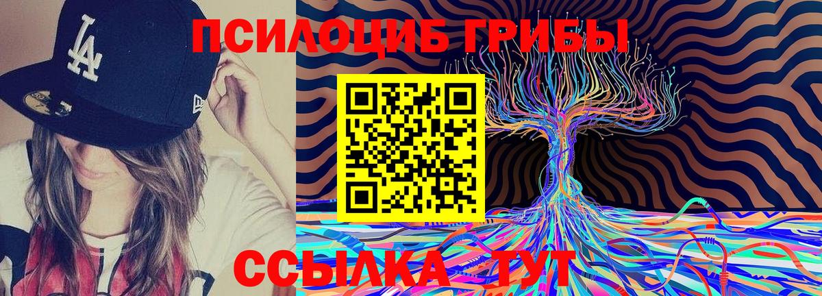 Якутск  Псилоцибиновые грибы ЛСД  Вход с VPN  Галлюциногенные грибы MAGIC MUSHROOMS 